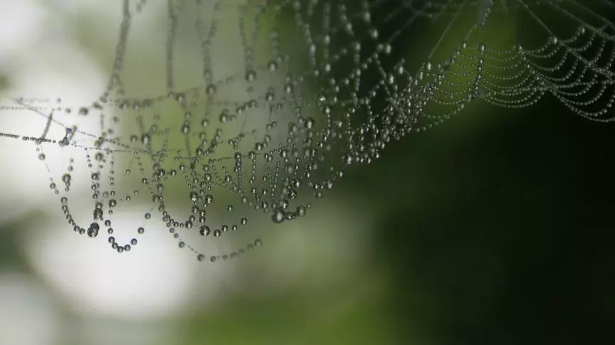 【HyperMesh宝典】之空间变换之美（独家美图放送）的图31